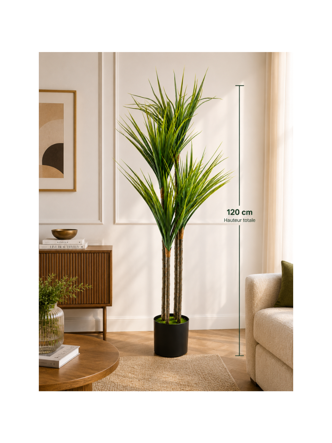 Dracaena Buissonnant Premium — 120 cm