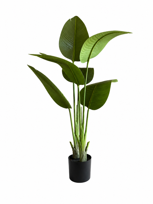 Arbre du Voyageur Premium — 90 cm