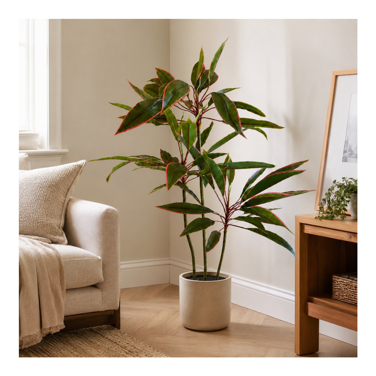 Dracaena Fin Élancé Premium — 90 cm