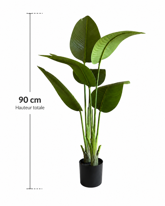 Arbre du Voyageur Premium — 90 cm
