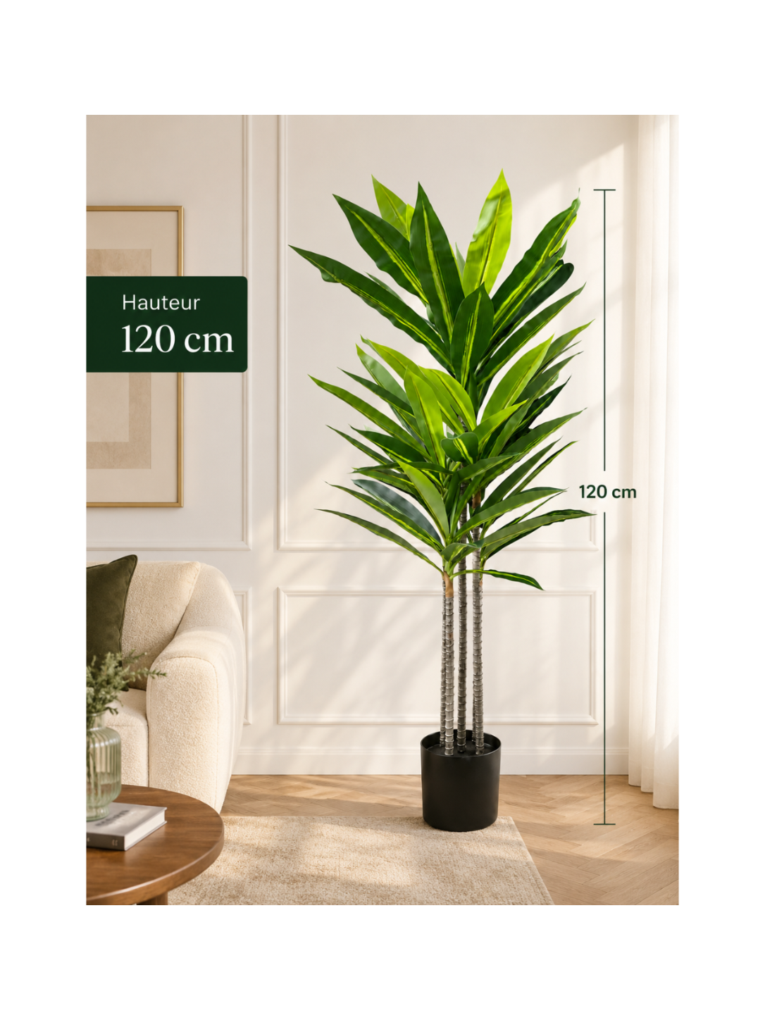 Dracaena élancé Premium - 120 cm